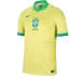 Brazil Home Soccer Jersey Copa America 2024